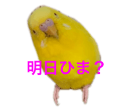 650838358