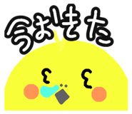 650845171