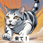 650853860