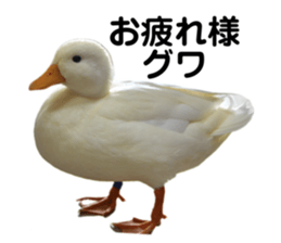 650857806