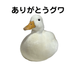 650857807