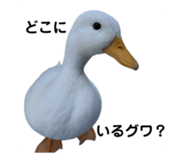 650857810