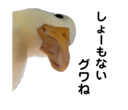 650857811