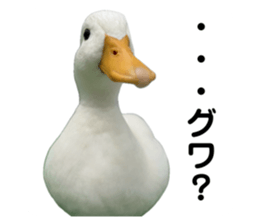 650857813