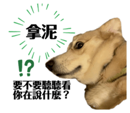 650861902