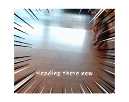 650870801