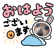 650891160