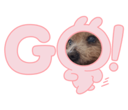 650891170