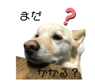 650921261