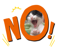 650921858