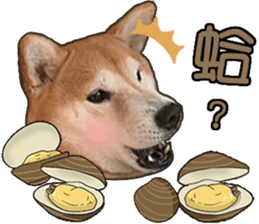 650966354