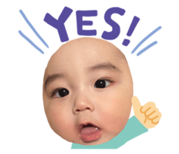 650984513