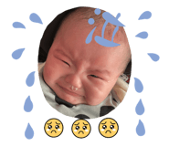650999041