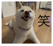 651041885
