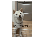 651041892