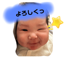651044322