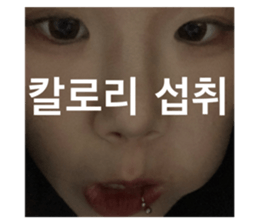 651066376