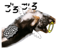 651069294