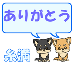 651075303