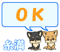 651075304