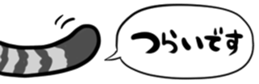 651084638