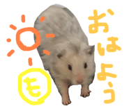 651096315