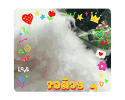 651107174