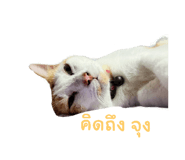 651109482