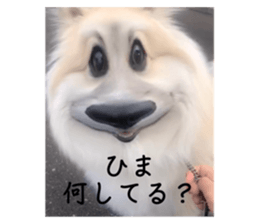 651113196