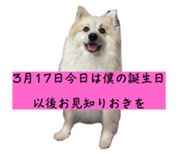 651113219