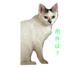 651113667