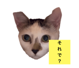 651113669