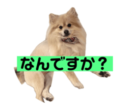 651123999
