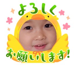 651133034