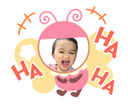 651134560