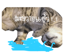 651134854