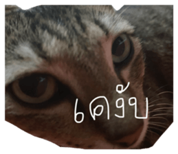 651134874