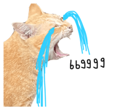 651134891