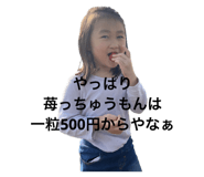 651187734