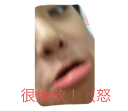651202915
