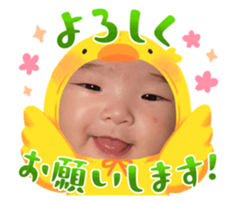 651206548