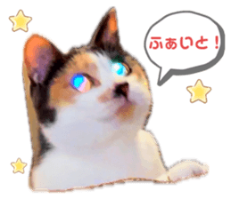 651233075