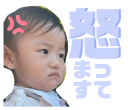 651233258