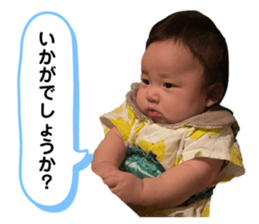 651233623