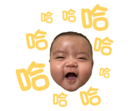 651266629