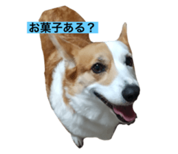 651296832