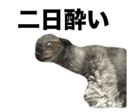 651296922