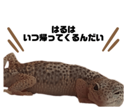 651313492