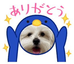 651317858