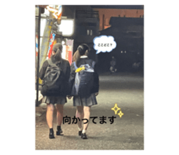 651331443